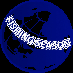 Спиннинг Apia Foojin AD Night Hawk 91ML